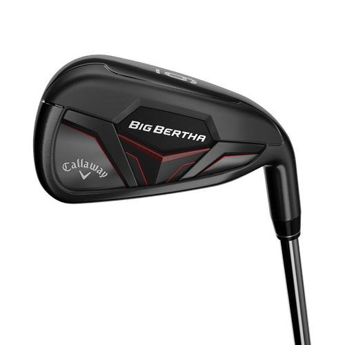 CALLAWAY BIG BERTHA 19 5H,6-PA ST COMBO